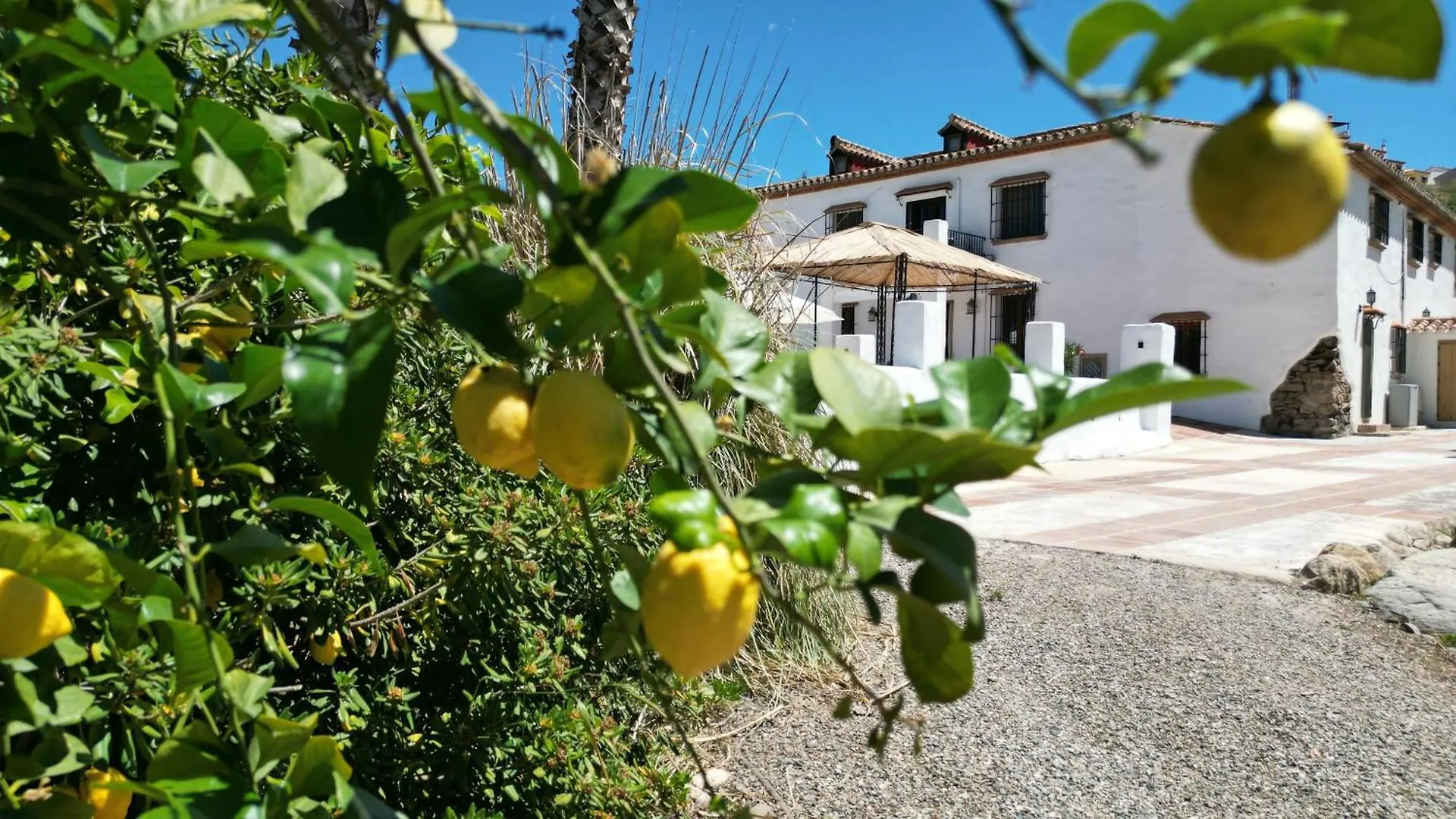 דירה אלורה Isla Las Palmeras